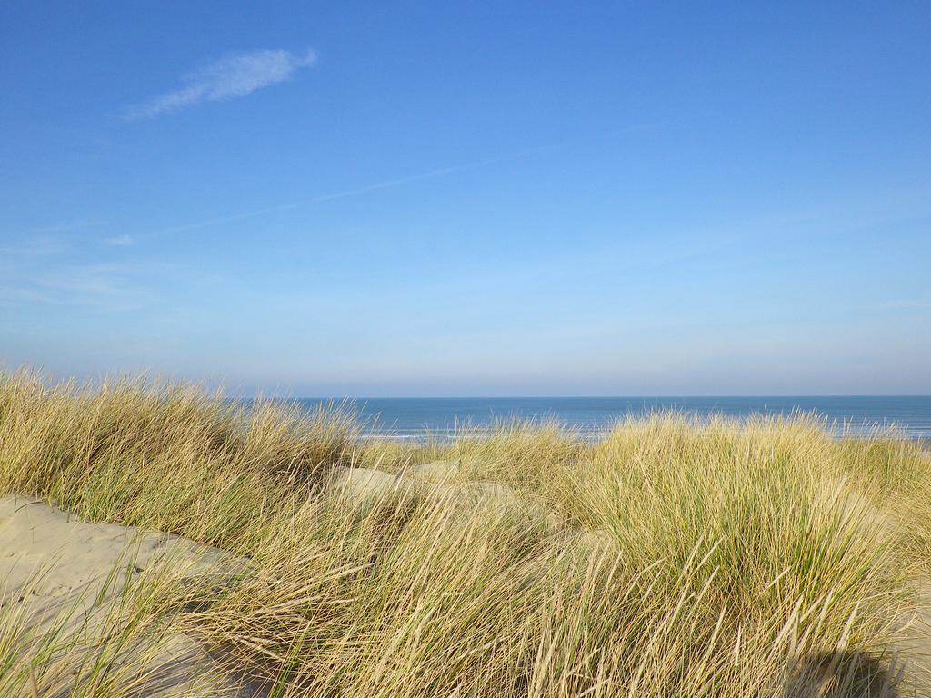 Evancy Etoile Des Dunes Bray-Dunes Exterior foto